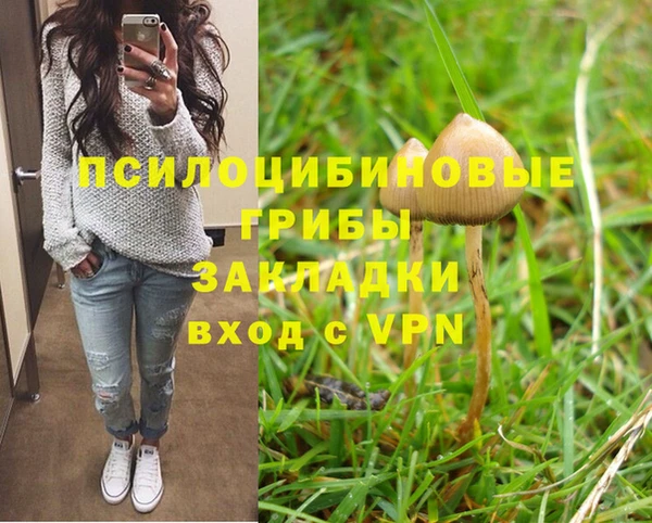 дурь Приозерск
