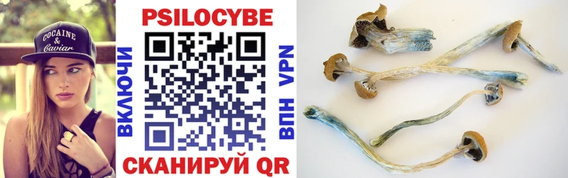 Псилоцибиновые грибы Magic Shrooms  Печоры 